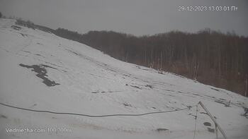 Ведмежа 29 грудня 2023 року, 2023-12-29 13:00