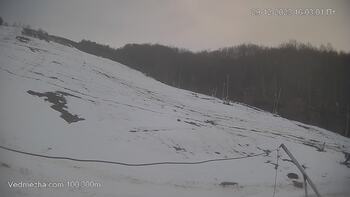 Ведмежа 29 грудня 2023 року, 2023-12-29 16:00