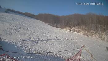 Ведмежа 17 січня 2024 року, 2024-01-17 10:00