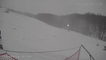 Ведмежа 17 січня 2024 року, 2024-01-17 16:00