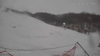 Ведмежа 18 січня 2024 року, 2024-01-18 13:00