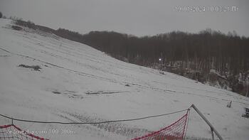 Ведмежа 19 січня 2024 року, 2024-01-19 10:00