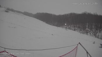 Ведмежа 19 січня 2024 року, 2024-01-19 16:00
