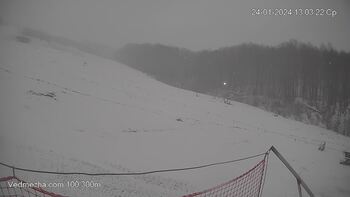 Ведмежа 24 січня 2024 року, 2024-01-24 13:00