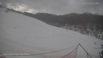 Ведмежа 26 січня 2024 року, 2024-01-26 13:00