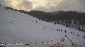Ведмежа 27 січня 2024 року, 2024-01-27 16:00
