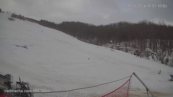 Ведмежа 28 січня 2024 року, 2024-01-28 10:00
