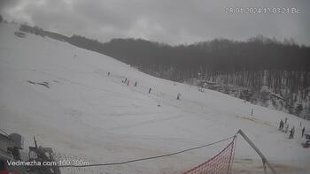 Ведмежа 28 січня 2024 року, 2024-01-28 13:00