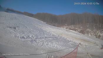 Ведмежа 29 січня 2024 року, 2024-01-29 10:00