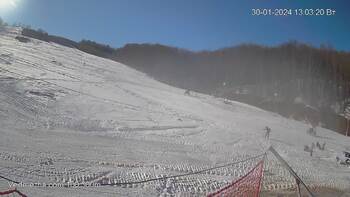 Ведмежа 30 січня 2024 року, 2024-01-30 13:00