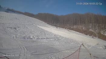 Ведмежа 31 січня 2024 року, 2024-01-31 10:00