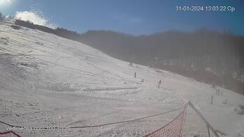 Ведмежа 31 січня 2024 року, 2024-01-31 13:00