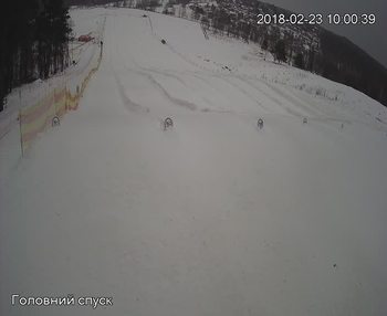 Їжак парк 23 лютого 2018 року, 2018-02-23 10:00