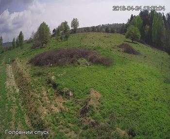 Їжак парк 24 квітня 2018 року, 2018-04-24 13:00