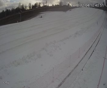 Їжак парк 4 грудня 2018 року, 2018-12-04 10:00