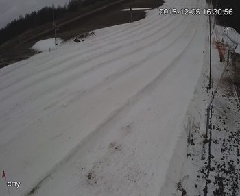 Їжак парк 5 грудня 2018 року, 2018-12-05 16:00