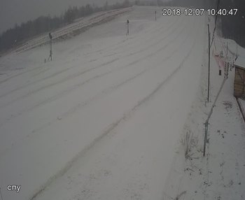 Їжак парк 7 грудня 2018 року, 2018-12-07 10:00