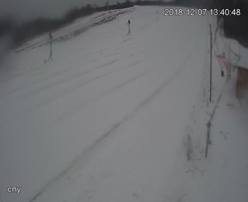 Їжак парк 7 грудня 2018 року, 2018-12-07 13:00