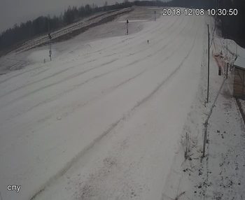 Їжак парк 8 грудня 2018 року, 2018-12-08 10:00