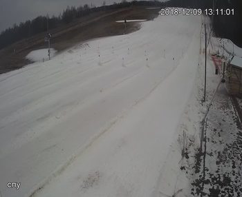 Їжак парк 9 грудня 2018 року, 2018-12-09 13:00