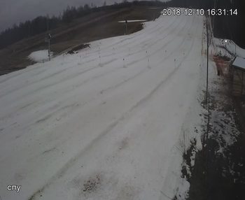 Їжак парк 10 грудня 2018 року, 2018-12-10 16:00
