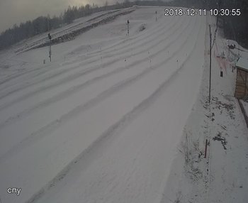Їжак парк 11 грудня 2018 року, 2018-12-11 10:00