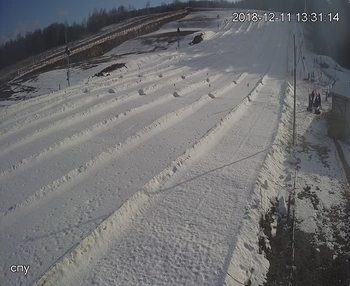 Їжак парк 11 грудня 2018 року, 2018-12-11 13:00