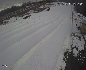 Їжак парк 11 грудня 2018 року, 2018-12-11 16:00
