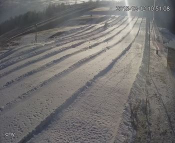 Їжак парк 12 грудня 2018 року, 2018-12-12 10:00