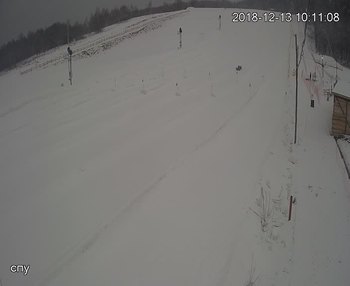 Їжак парк 13 грудня 2018 року, 2018-12-13 10:00