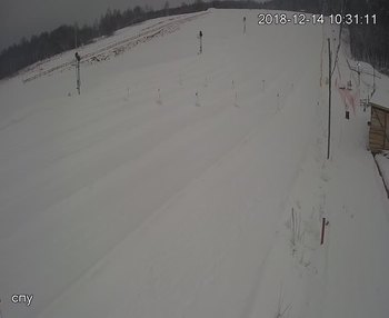 Їжак парк 14 грудня 2018 року, 2018-12-14 10:00