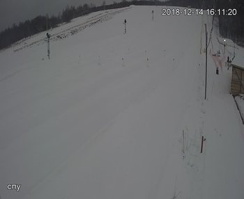 Їжак парк 14 грудня 2018 року, 2018-12-14 16:00