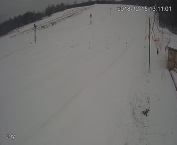 Їжак парк 15 грудня 2018 року, 2018-12-15 13:00