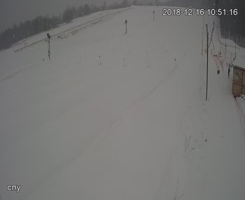 Їжак парк 16 грудня 2018 року, 2018-12-16 10:00