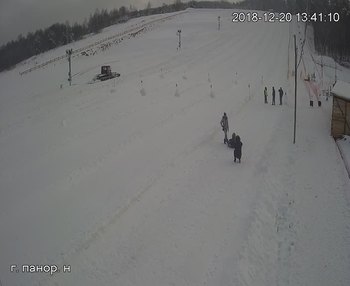 Їжак парк 20 грудня 2018 року, 2018-12-20 13:00