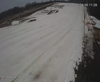 Їжак парк 24 грудня 2018 року, 2018-12-24 16:00