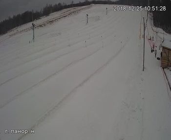 Їжак парк 25 грудня 2018 року, 2018-12-25 10:00