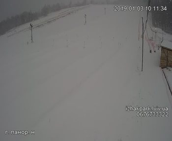 Їжак парк 3 січня 2019 року, 2019-01-03 10:00