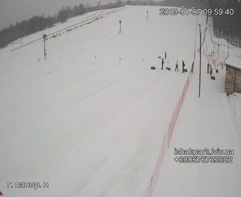 Їжак парк 7 січня 2019 року, 2019-01-07 10:00