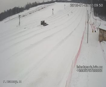 Їжак парк 9 січня 2019 року, 2019-01-09 10:00