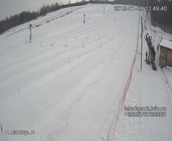 Їжак парк 9 січня 2019 року, 2019-01-09 13:00