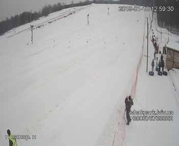 Їжак парк 10 січня 2019 року, 2019-01-10 13:00