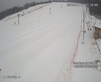 Їжак парк 11 січня 2019 року, 2019-01-11 10:00