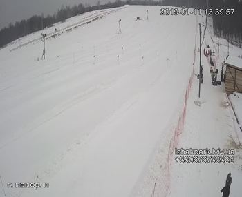 Їжак парк 11 січня 2019 року, 2019-01-11 13:00