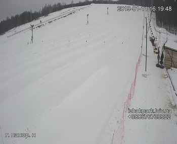 Їжак парк 11 січня 2019 року, 2019-01-11 16:00