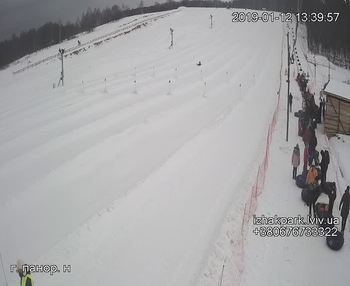 Їжак парк 12 січня 2019 року, 2019-01-12 13:00