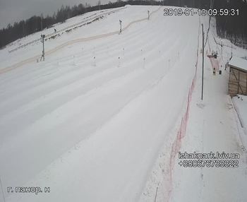 Їжак парк 13 січня 2019 року, 2019-01-13 10:00