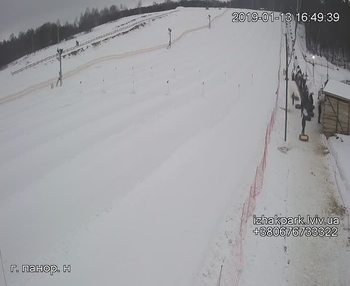 Їжак парк 13 січня 2019 року, 2019-01-13 16:00
