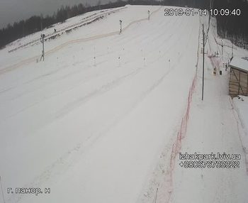 Їжак парк 14 січня 2019 року, 2019-01-14 10:00
