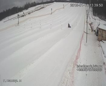 Їжак парк 14 січня 2019 року, 2019-01-14 13:00